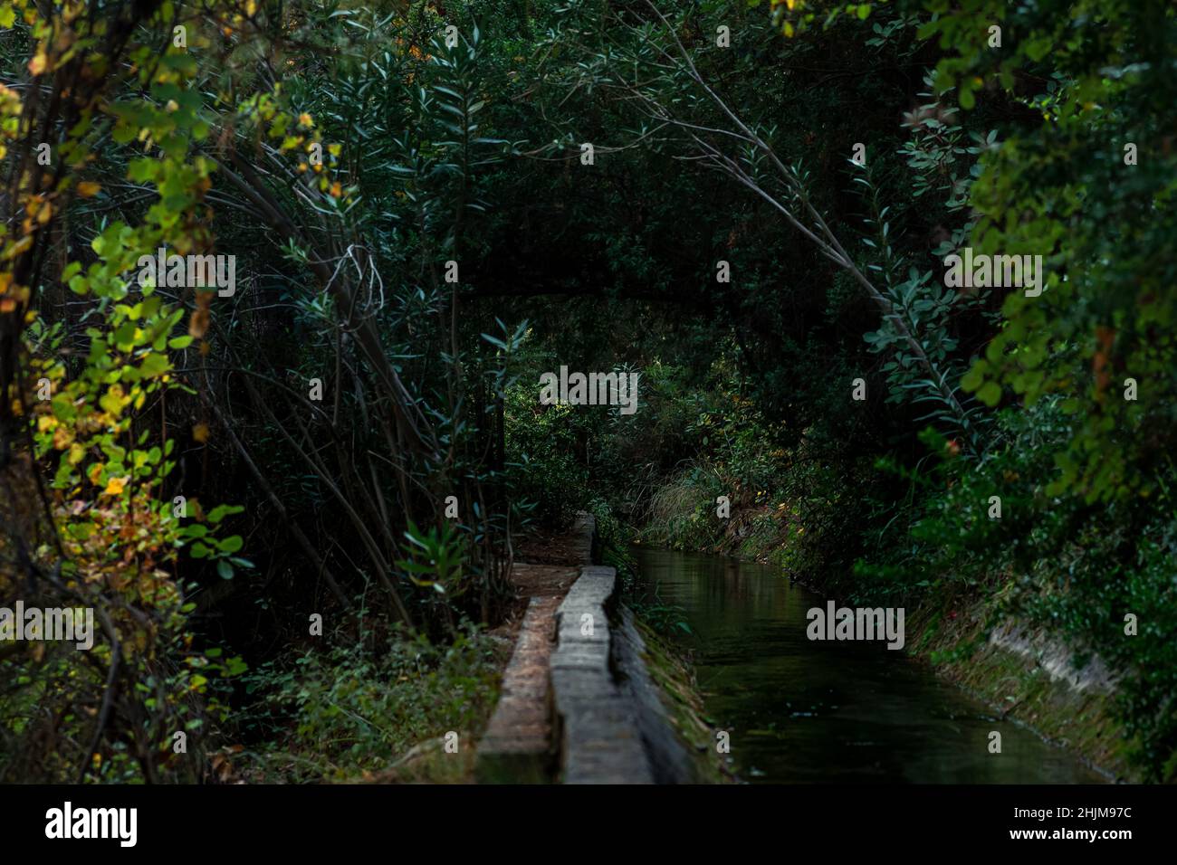 artificial rill in a concrete gutter among vegetation in mountainous area Stock Photo