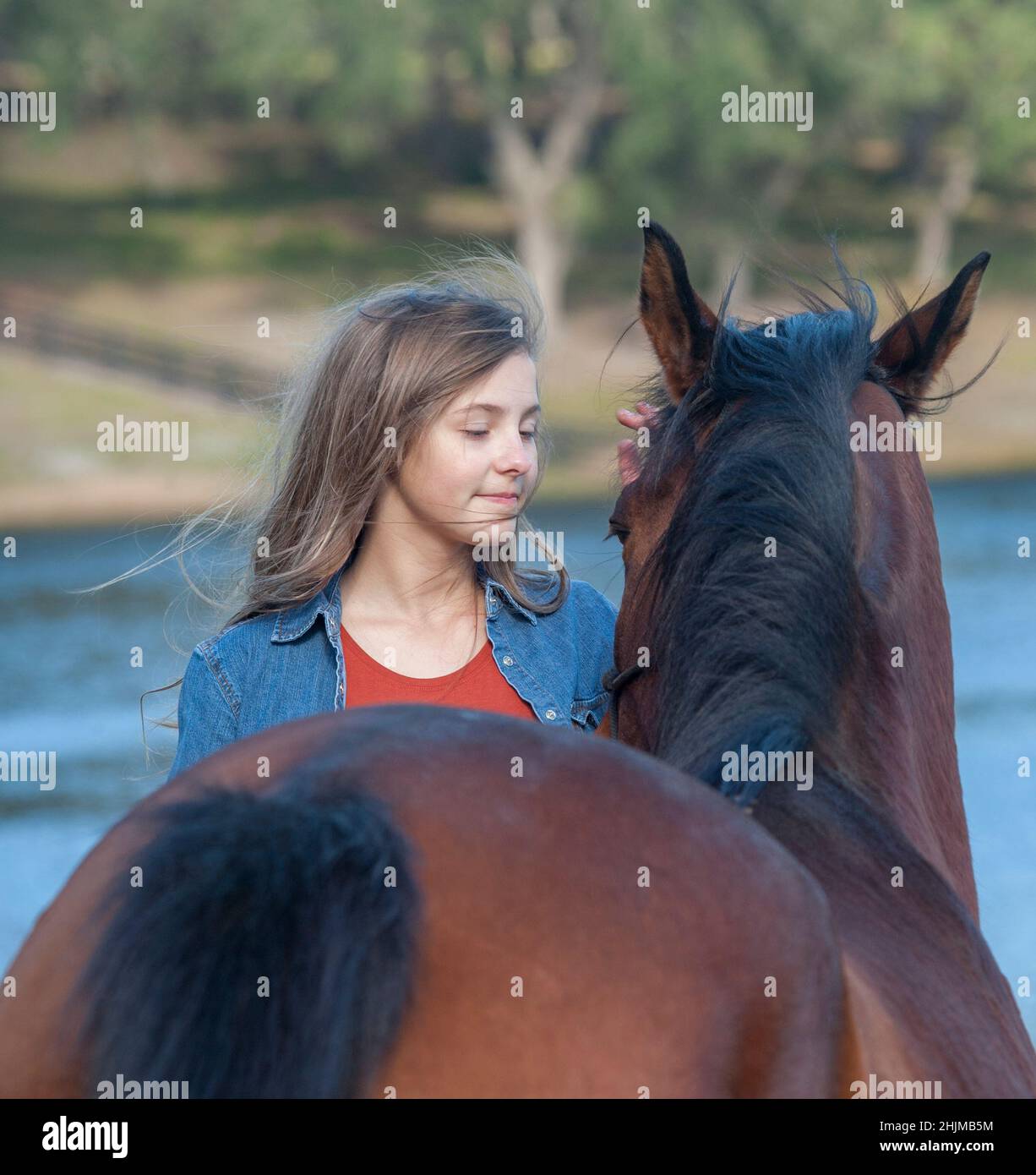 11 year old girl bonds with horse mare Stock Photo