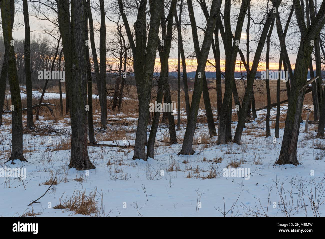 minnesota river valley wildlife refuge in eagan during winter dusk Stock Photo