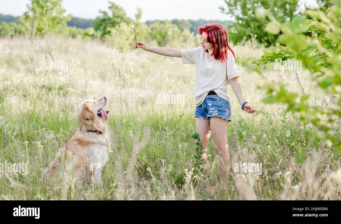 Teen girl with golden retriever dog Stock Photo - Alamy