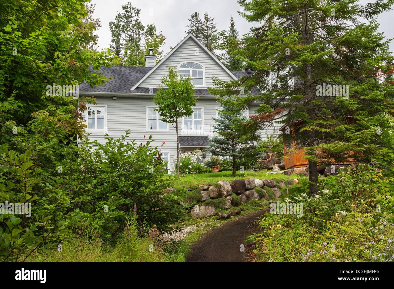 Back of cottage style house through deciduous and conifer trees with raised terrain bordered by rock wall with Thymus serpyllum - Wild Thyme. Stock Photo