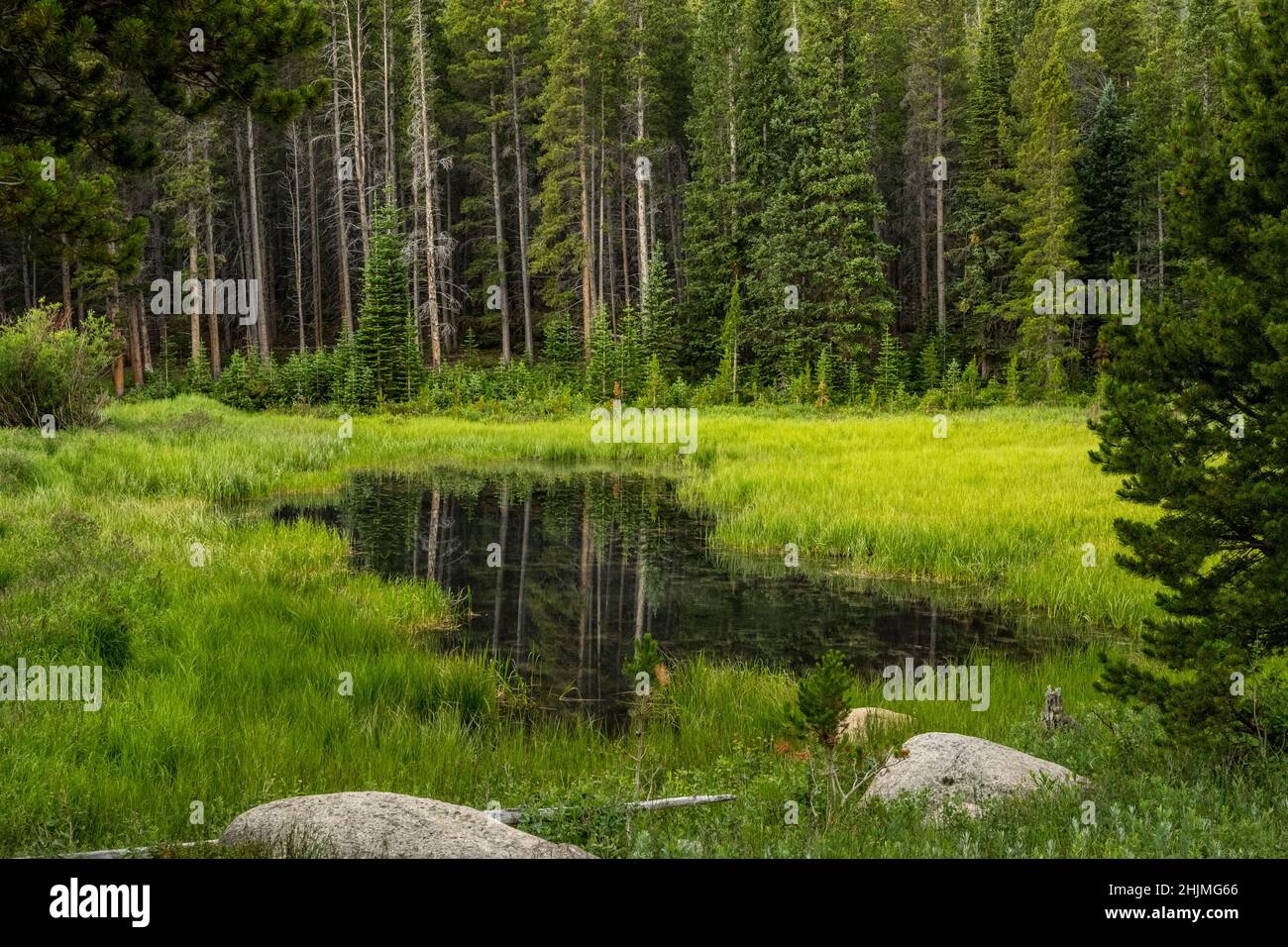 Calm Water in Pool along Wind River Canyon in Rocky Mountain National Park Stock Photo