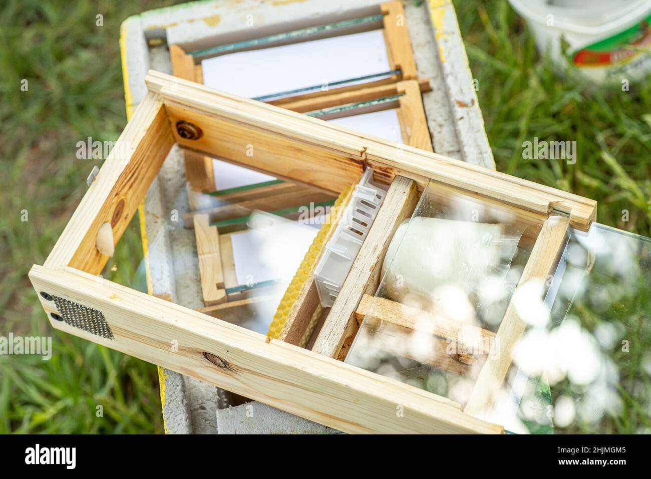 Beekeeper holding a small Nucleus with a young queen bee. Breeding of