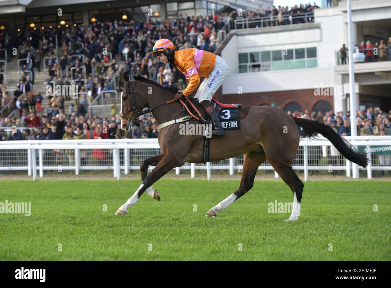 Racing at Cheltenham Racecourse, Prestbury Park on Festival Trials Day