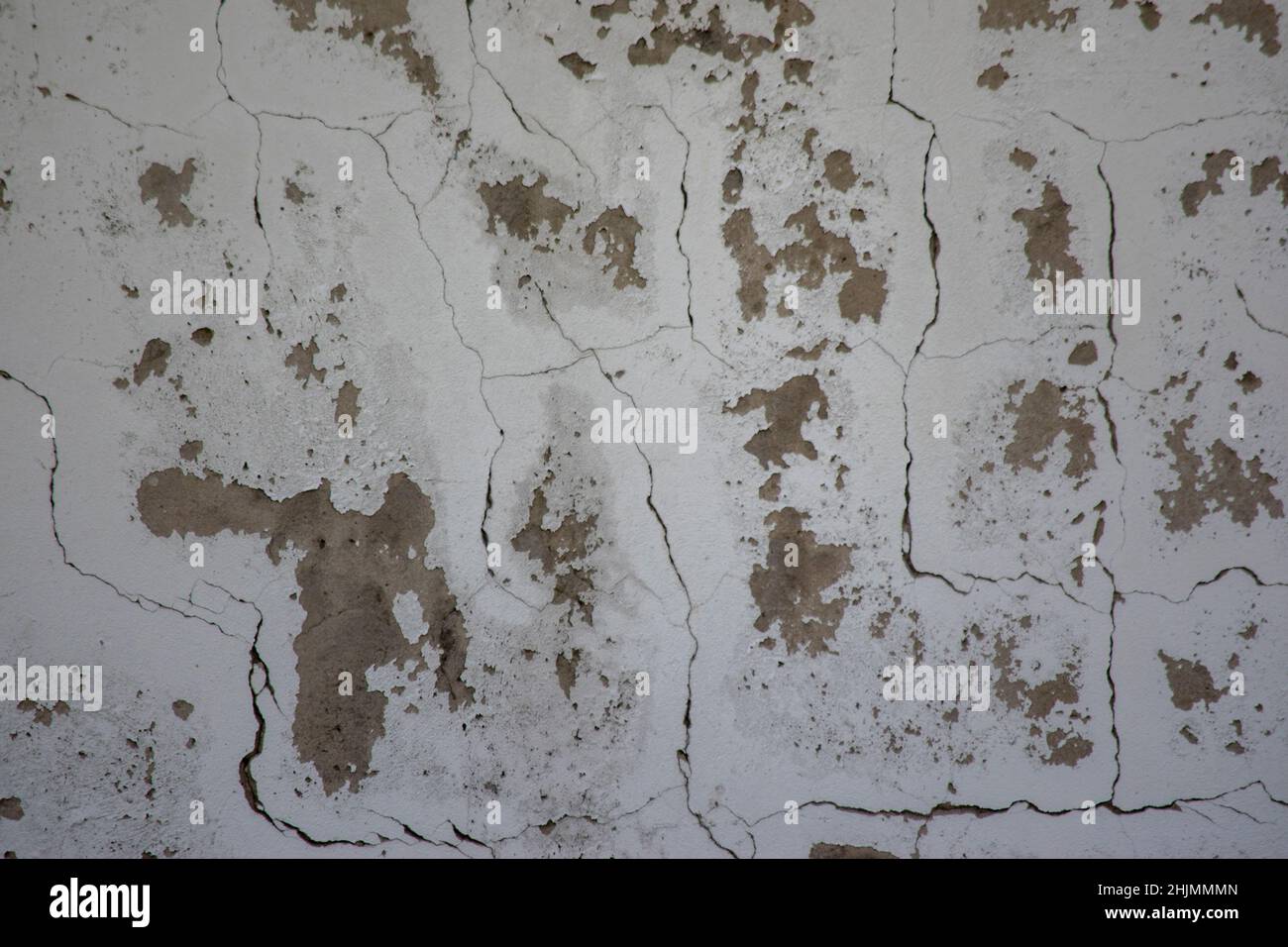 texture of a concrete wall Stock Photo