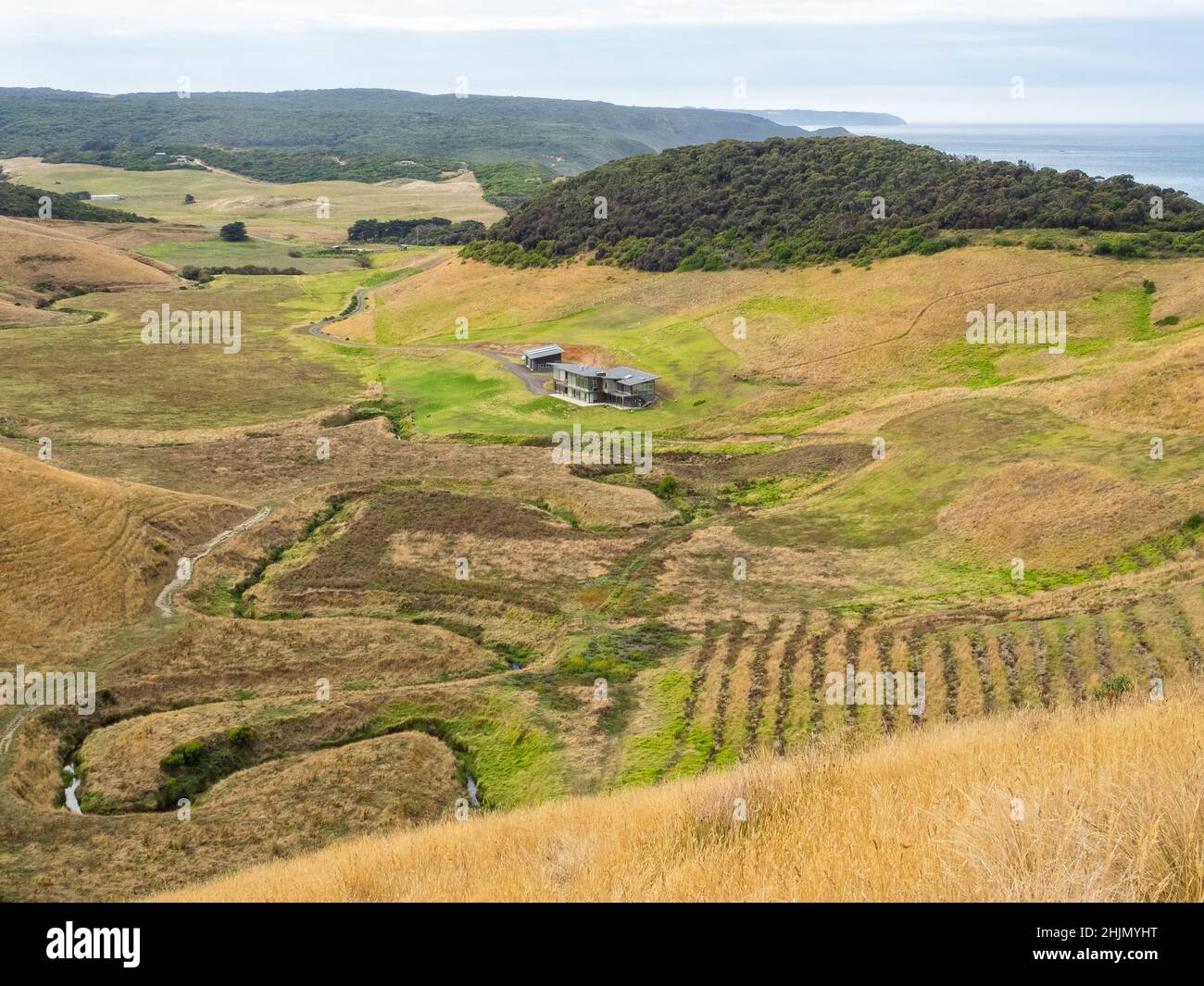 Farm along the Great Ocean Walk Johanna, Victoria, Australia Stock
