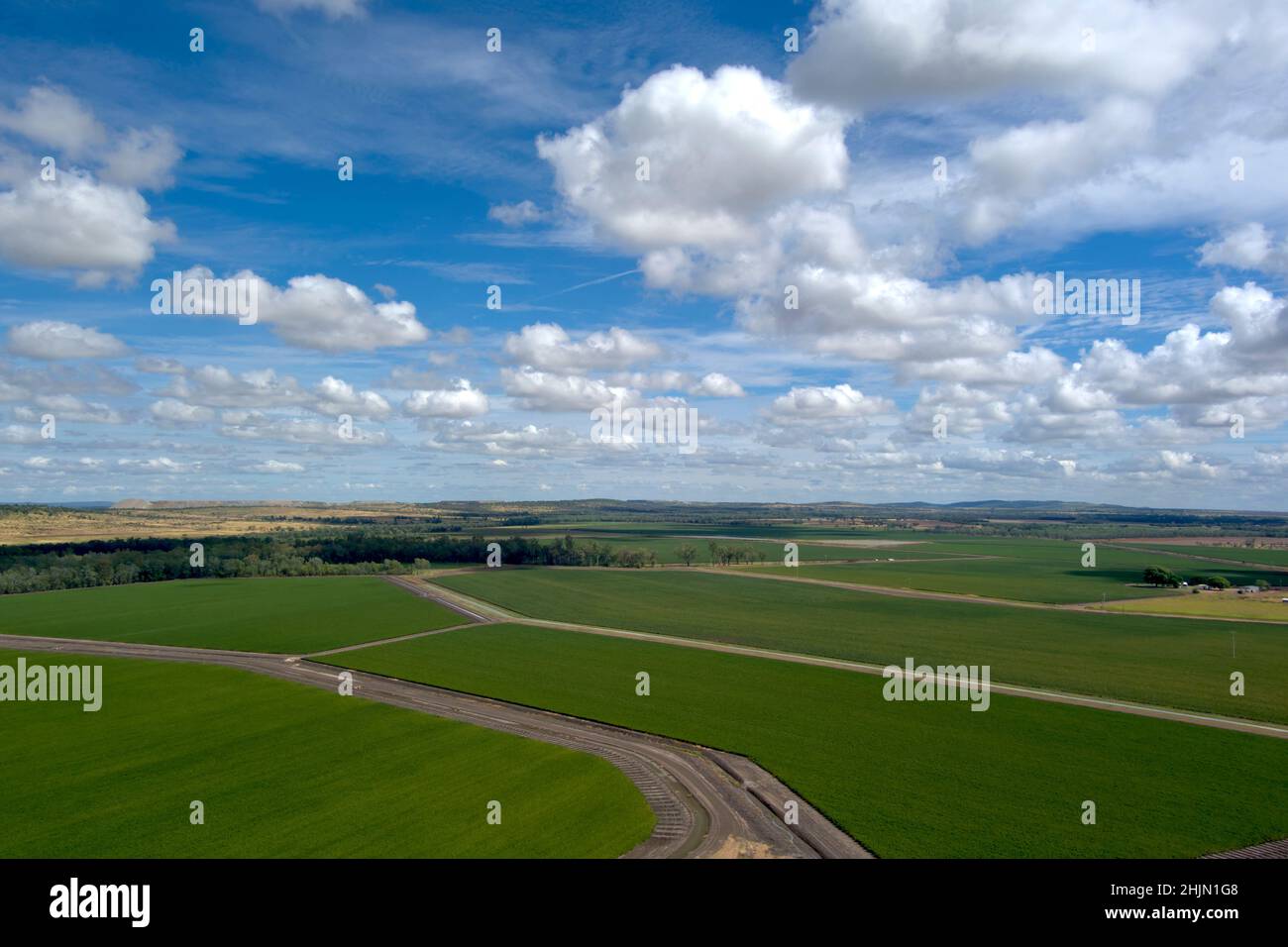 Aerial of irrigated cotton fields growing from water supplied by the