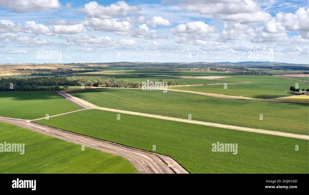 Aerial of irrigated cotton fields growing from water supplied by the