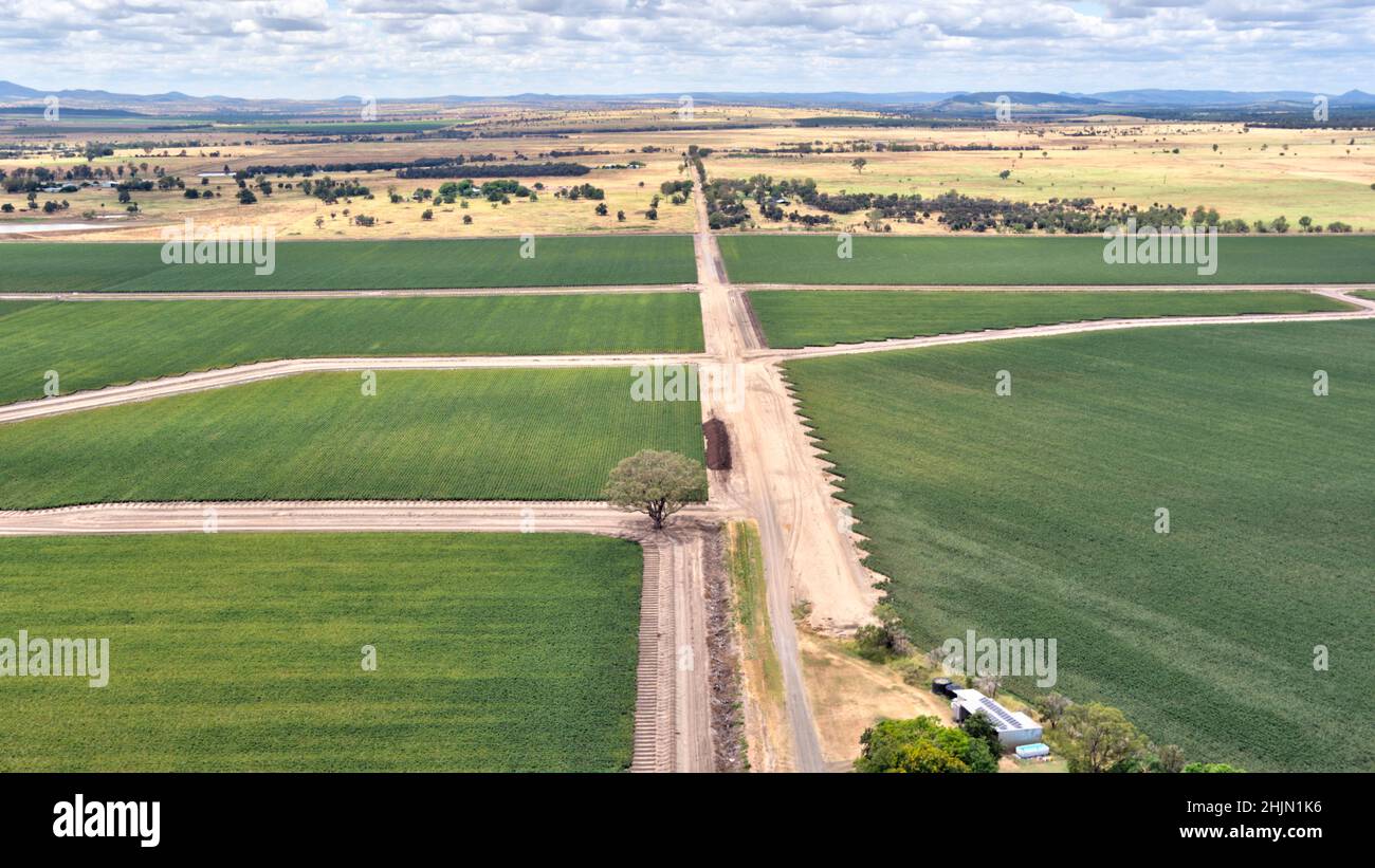 Aerial of irrigated cotton fields from the Dawson River Theodore