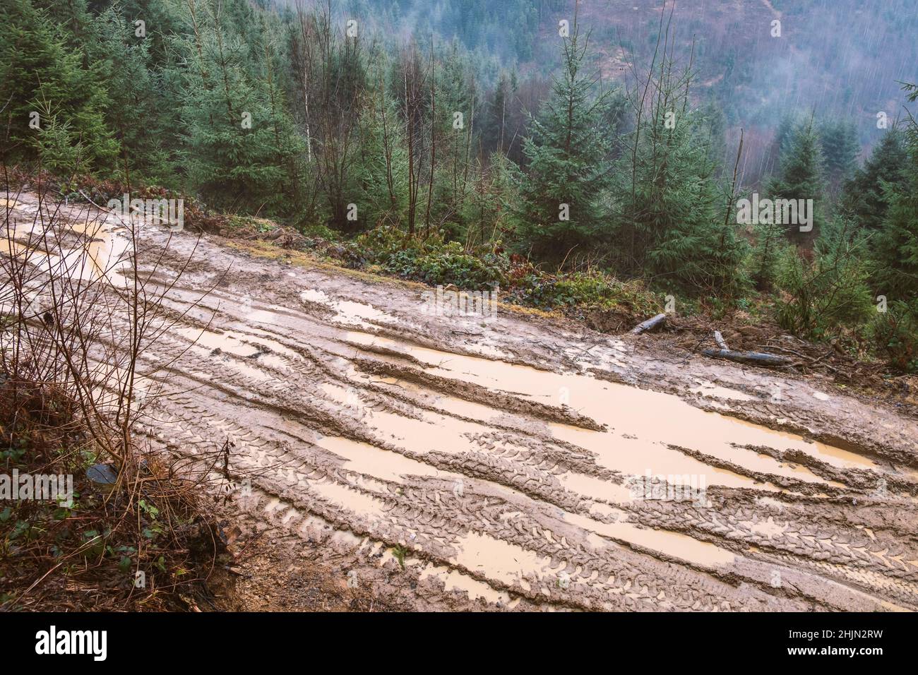 wet dirty road by autumn in Carpathian Mountains, Ukraine Stock Photo