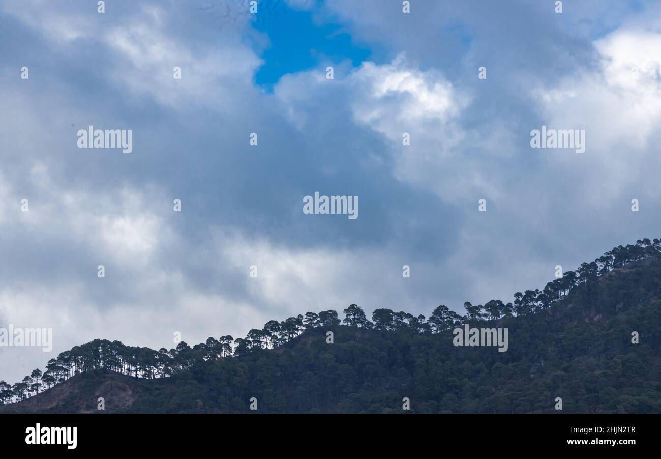 Row of trees on top of a hill with clouds forming in the background Stock Photo