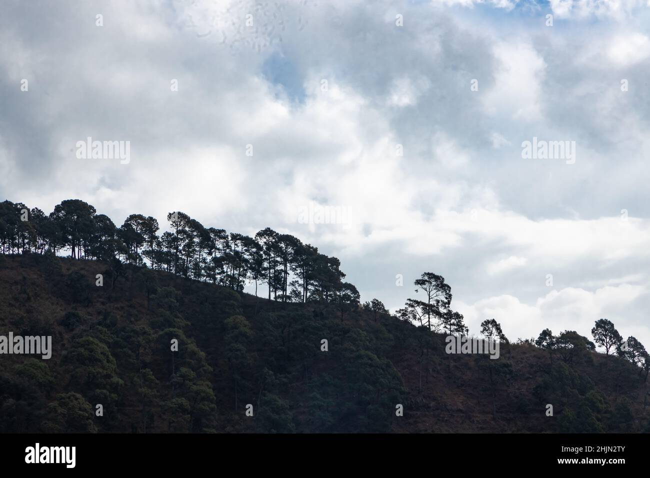 Row of trees on top of a hill with clouds forming in the background Stock Photo