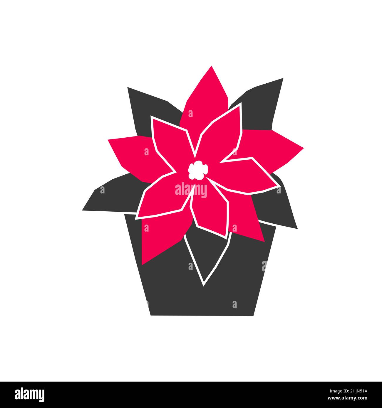 Vector isolated flat concept. Black and red colored Poinsettia is in pot.  Euphorbia pulcherrima is Christmas and New Year flower and symbol of xmas h Stock Vector