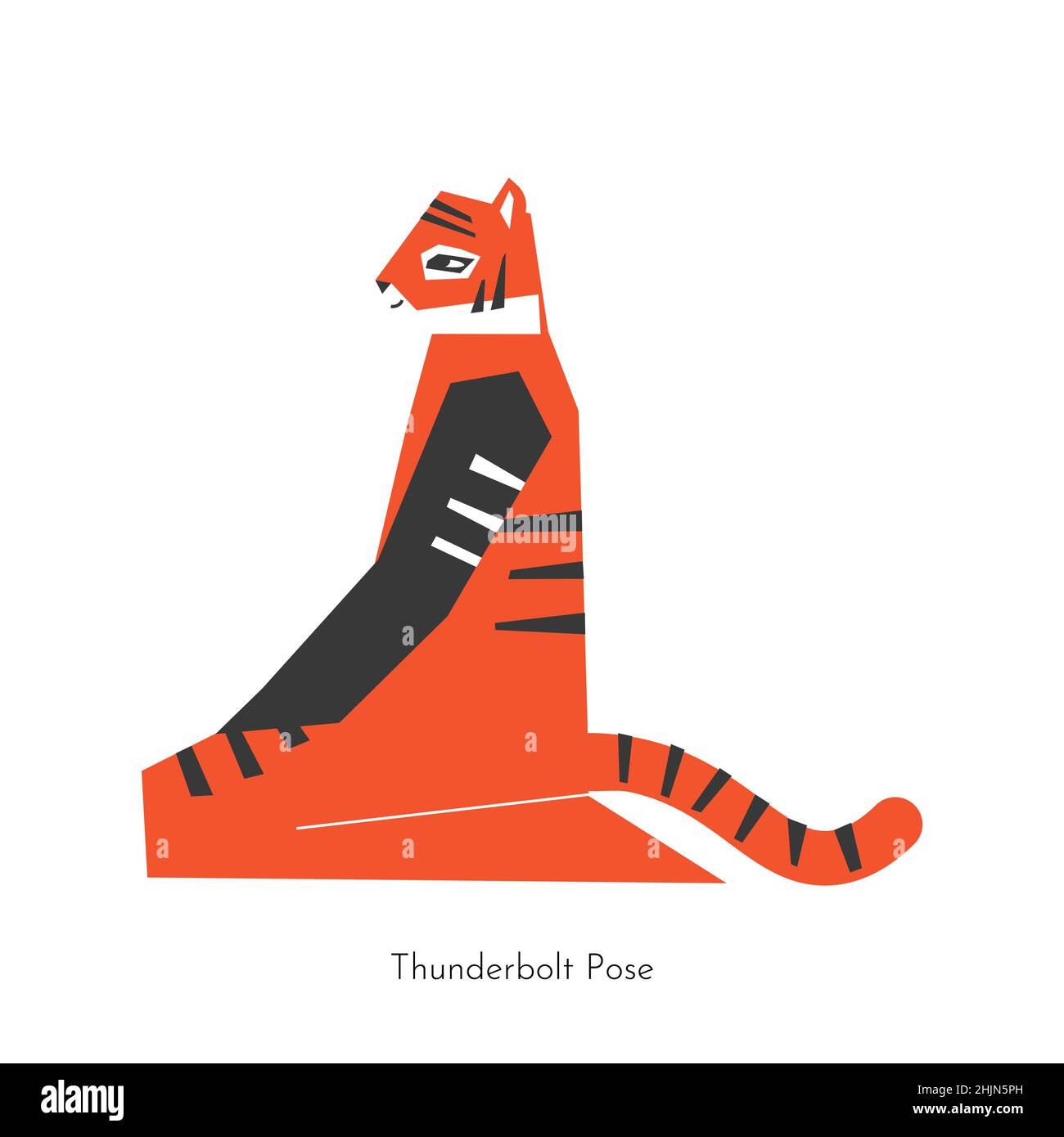Vector flat illustration with meditation animal character. Chinese tiger learns relaxing posture and does Thunderbolt Pose at yoga practice. Basic exe Stock Vector