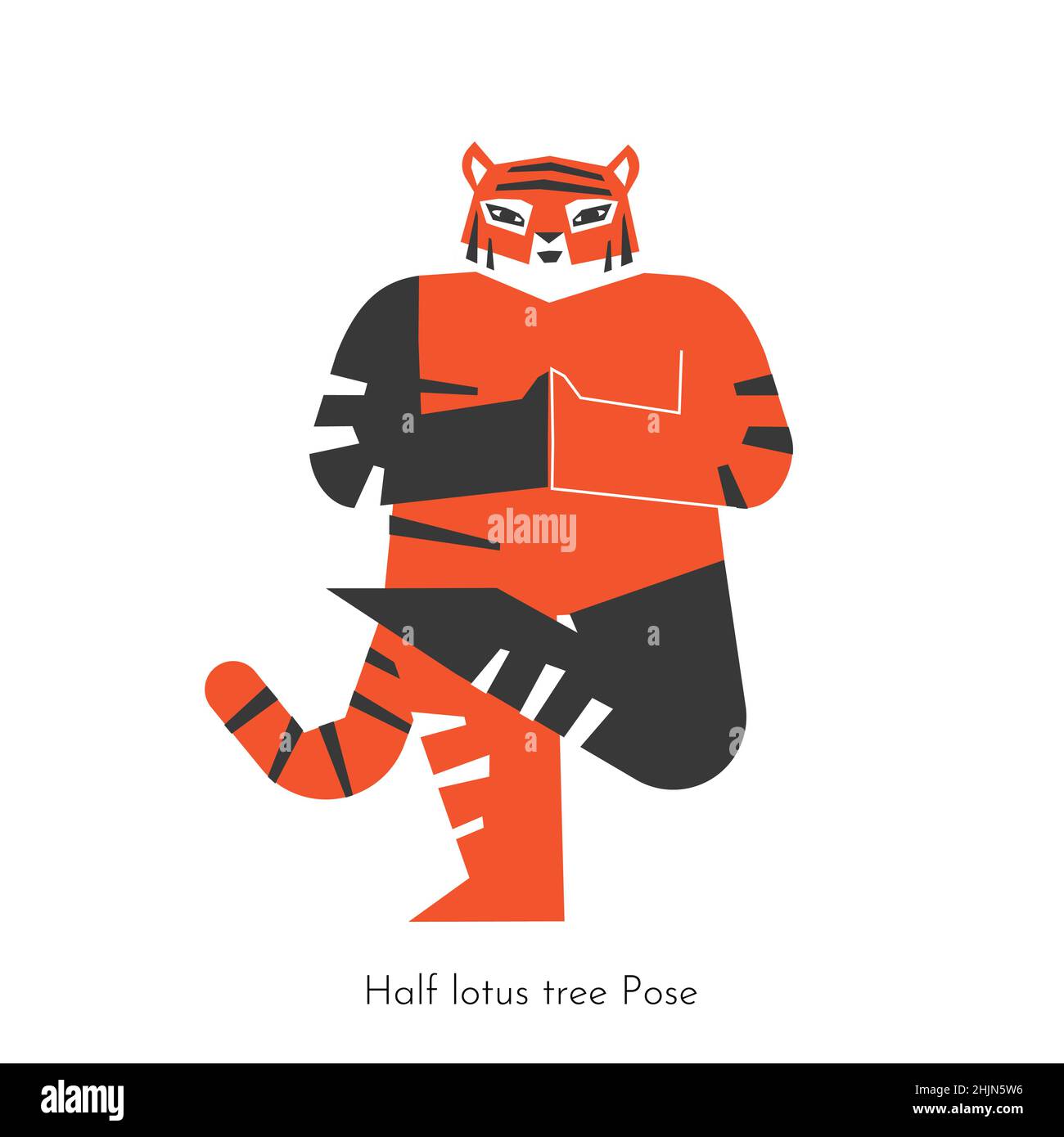 Vector flat isolated illustration with animal character. Korean tiger learns relaxing posture and does Half Lotus Tree Pose at yoga class. Basic exerc Stock Vector