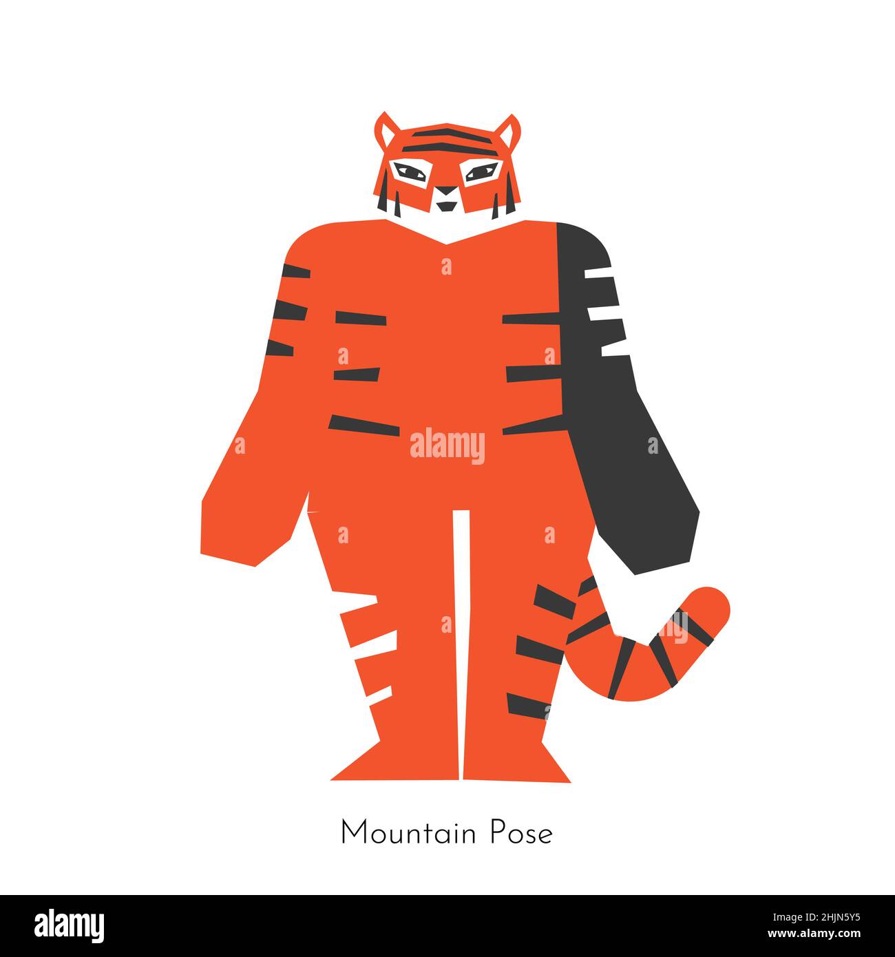 Vector isolated concept with animal flat character. Chinese tiger learns relaxing posture and does Mountain Pose at yoga class. Basic exercise for beg Stock Vector