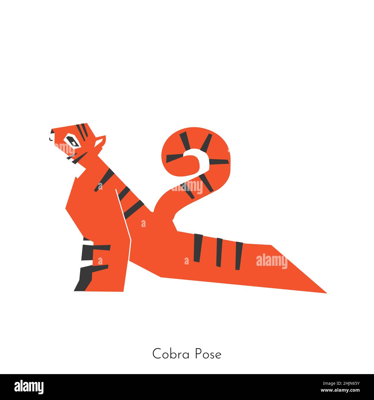 Vector flat illustration with animal character. Siberian tiger learns relaxing posture and does Cobra Pose at yoga class. Basic exercise for beginners Stock Vector