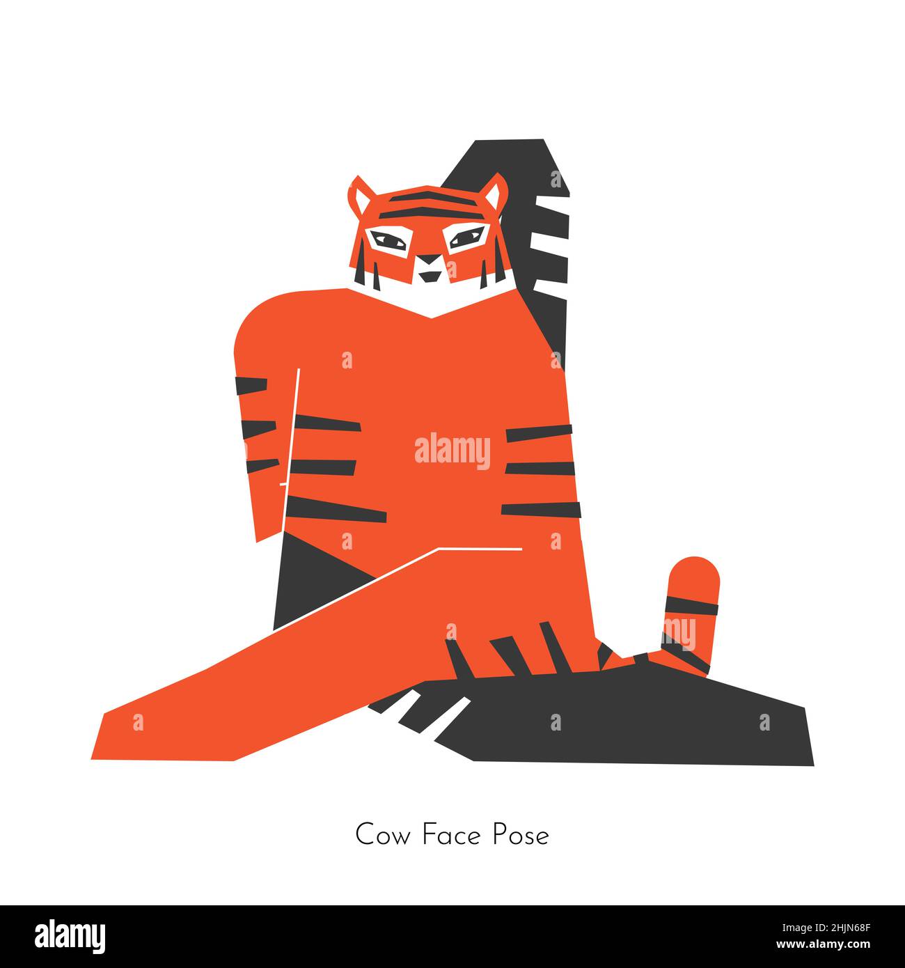 Vector flat illustration with animal character. Siberian tiger learns relaxing posture and does Cow Face Pose at yoga class. Basic exercise for beginn Stock Vector