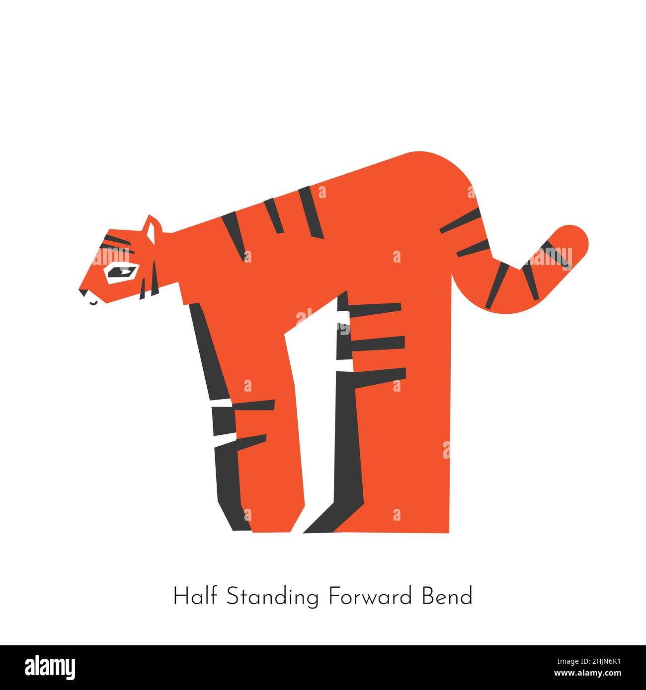 Vector flat isolated illustration with flexible animal character. Asian tiger learns relaxing posture and does Half standing forward bend pose at yoga Stock Vector