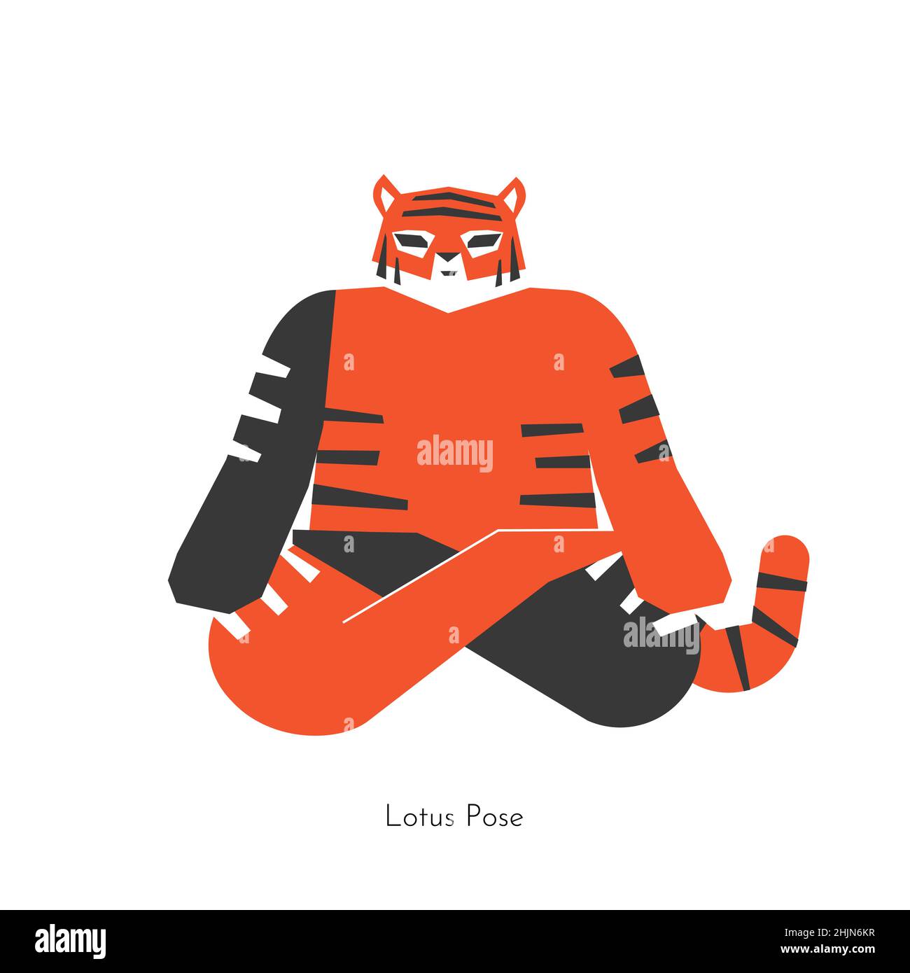 Vector flat isolated illustration with flexible animal character. Chinese tiger learns meditation posture and does Lotus pose at yoga class. Basic exe Stock Vector