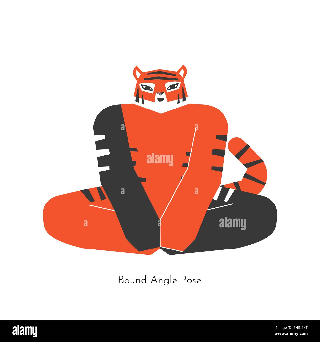 Vector flat illustration with animal character. Korean tiger learns meditation posture and does Bound Angle Pose at yoga class. Basic exercise for beg Stock Vector