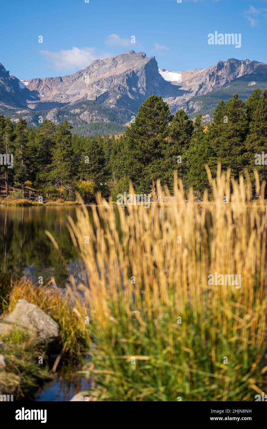 Beautiful view of a lake surrounded by trees and mountains Stock Photo ...