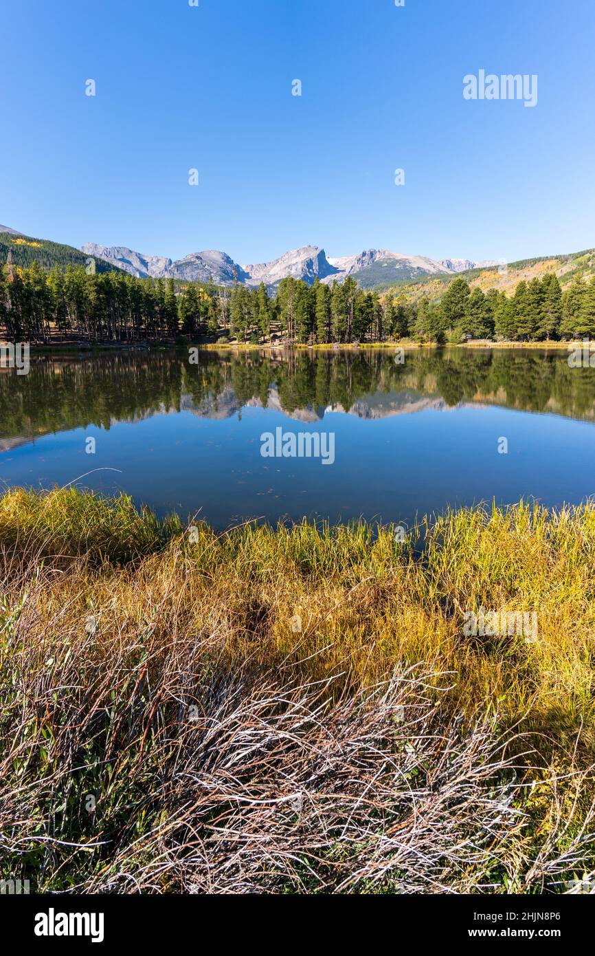 Vertical shot of a small lake reflecting the trees and mountains Stock ...