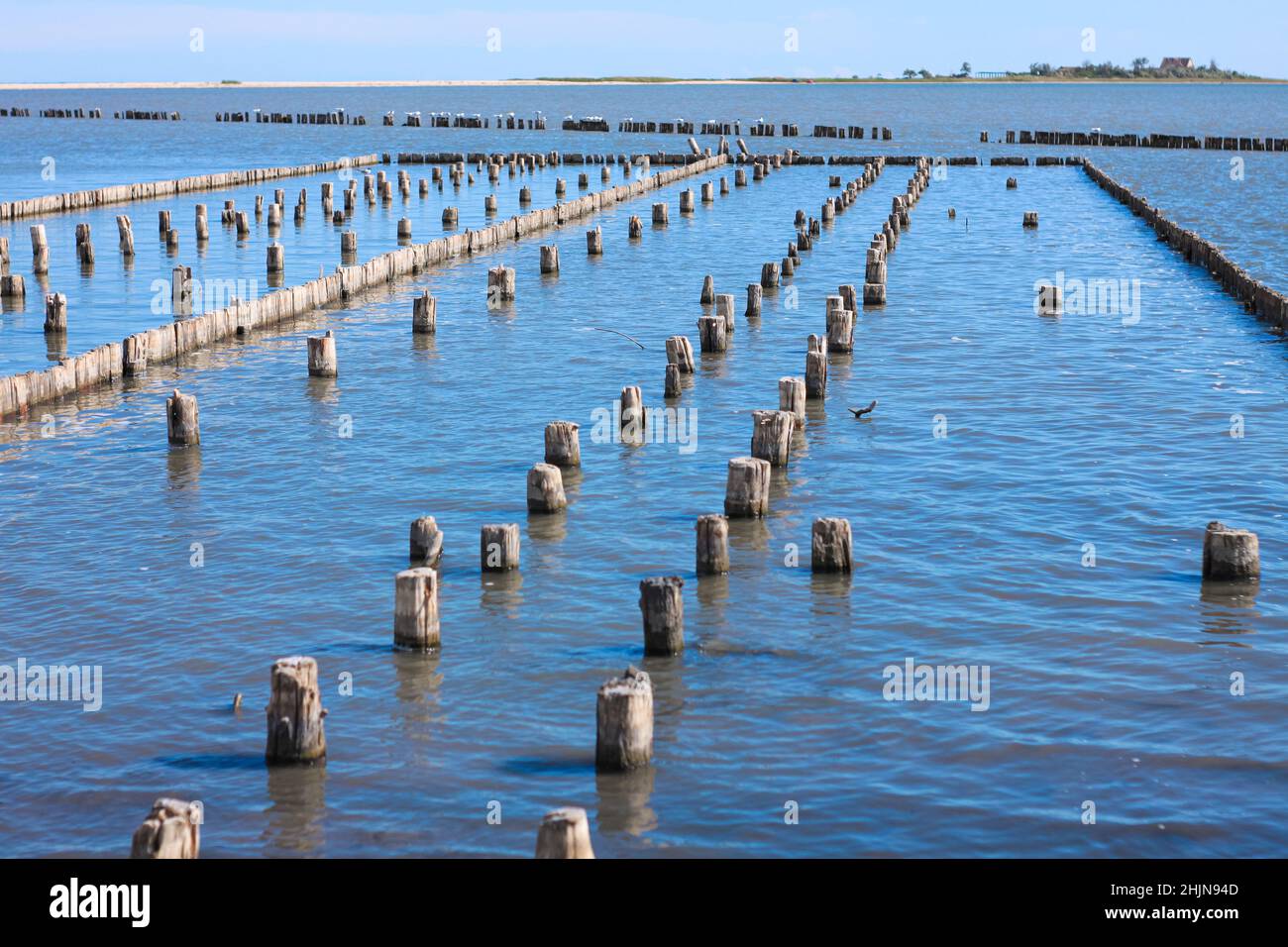 Black muddy waves of healing mud. Spa treatments on the sea shore for ...
