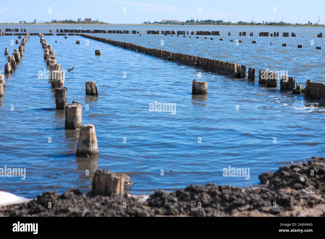 Black muddy waves of healing mud. Spa treatments on the sea shore for ...