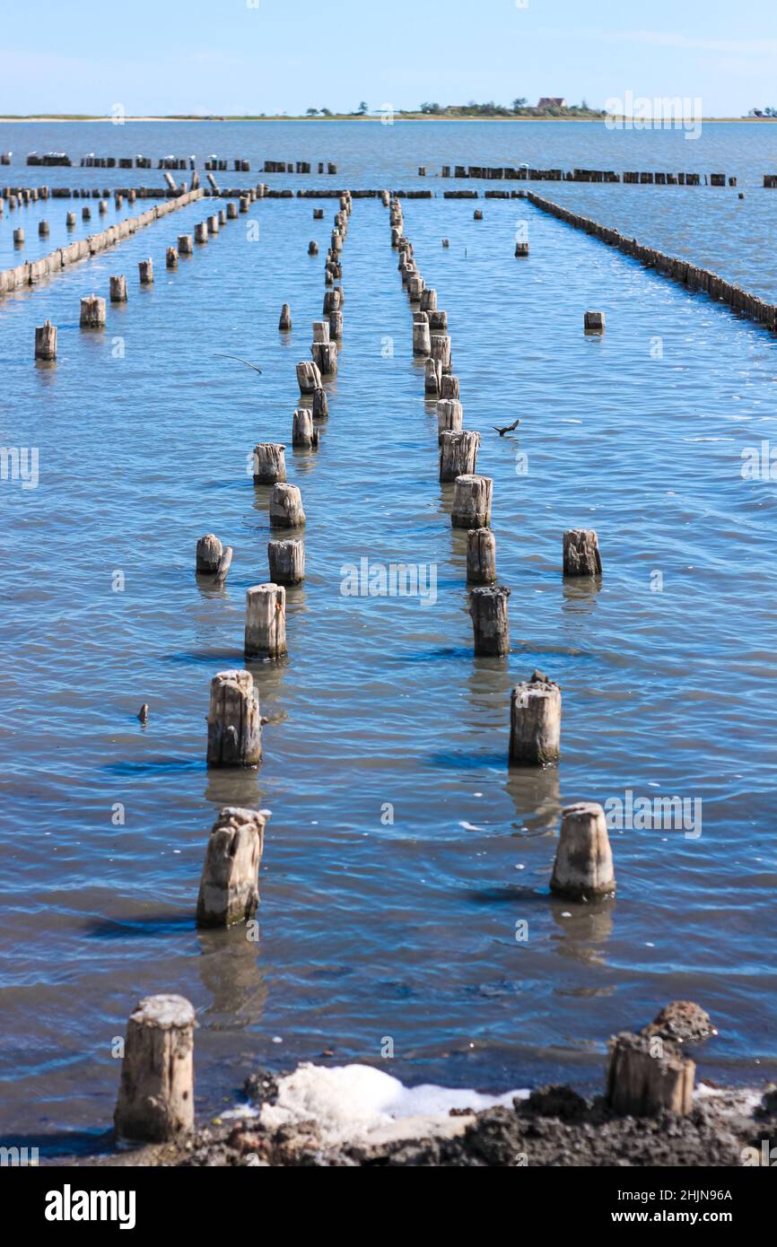 Black muddy waves of healing mud. Spa treatments on the sea shore for ...