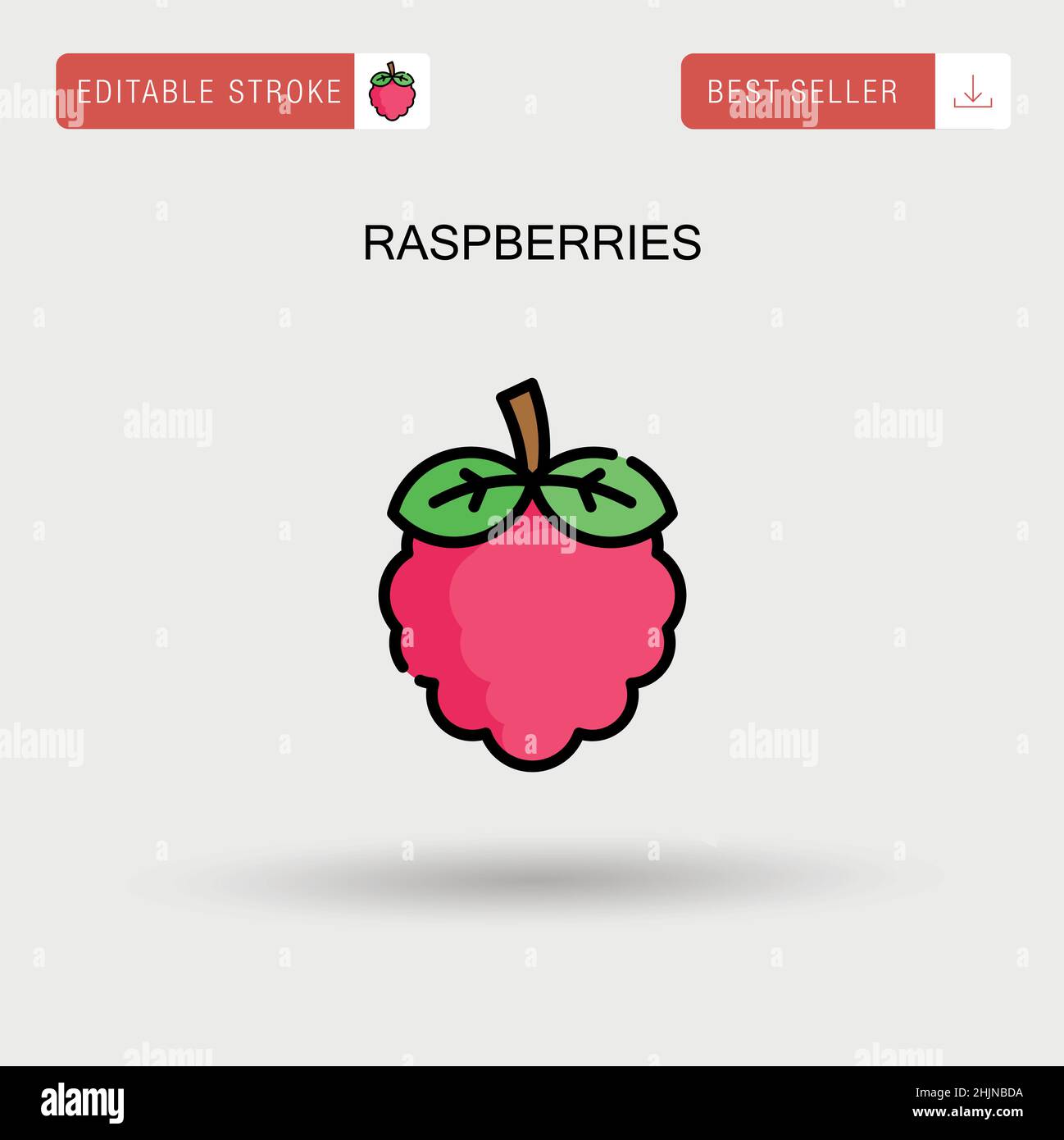Raspberry Pi Logo Vector
