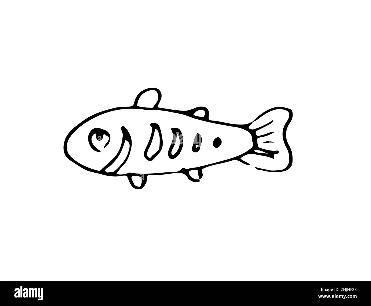 Wild fish. Aquatic animal character. Underwater world. Outline sketch. Hand drawing is isolated on a white background. Vector Stock Vector