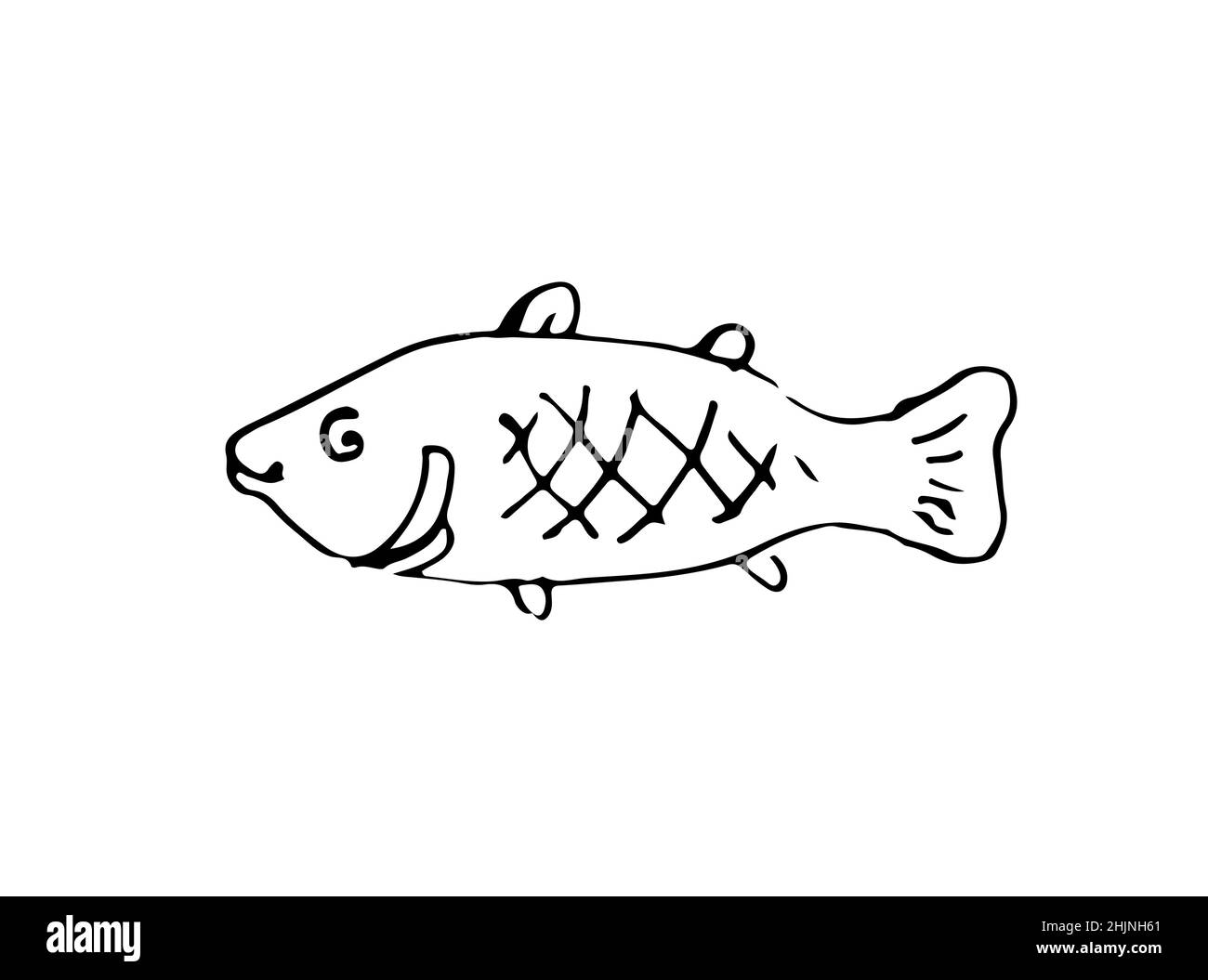 Wild fish. Aquatic animal character. Underwater world. Outline sketch. Hand drawing is isolated on a white background. Vector Stock Vector