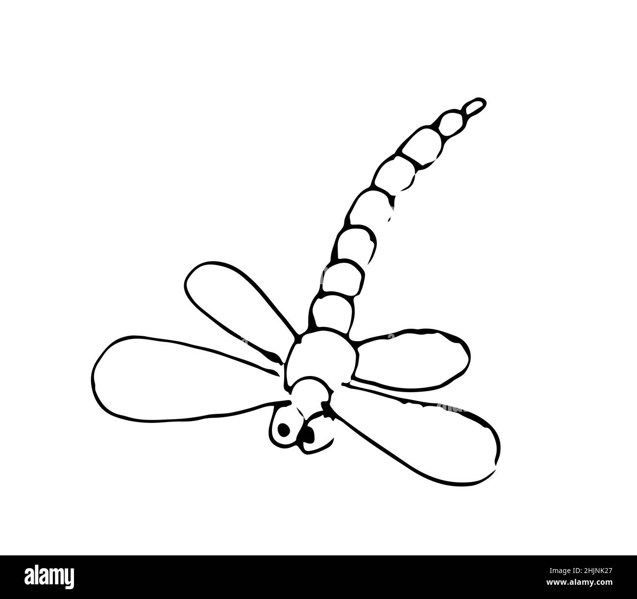 Dragonfly. Outline sketch. Funny comical insect. Hand drawing is isolated on a white background. Vector Stock Vector