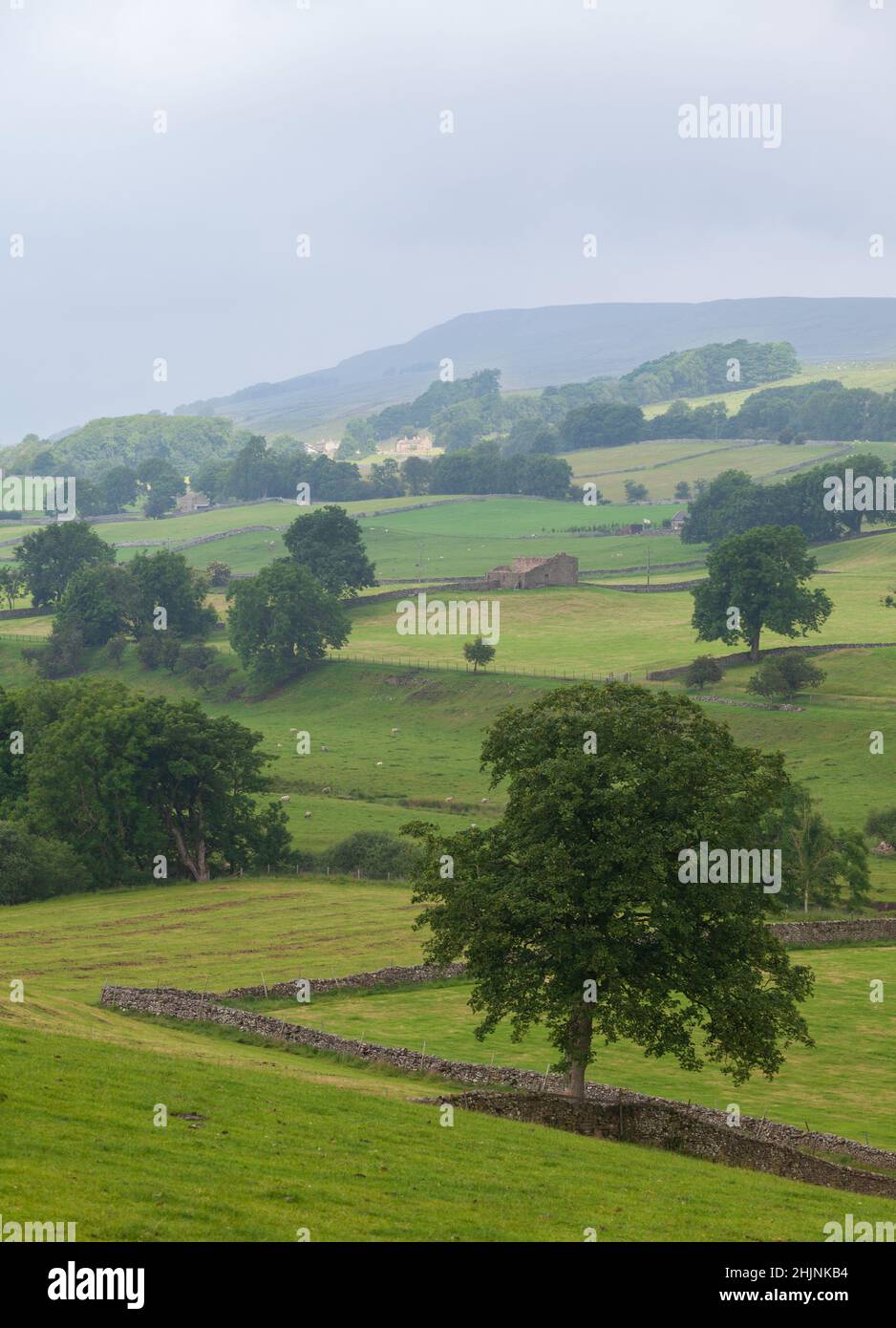 A misty atmospheric view of trees, woods and meadows in Upper Wensleydale near Hawes Stock Photo