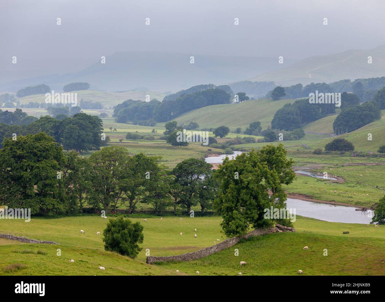 A misty atmospheric view of trees, woods and meadows in Upper Wensleydale near Hawes Stock Photo