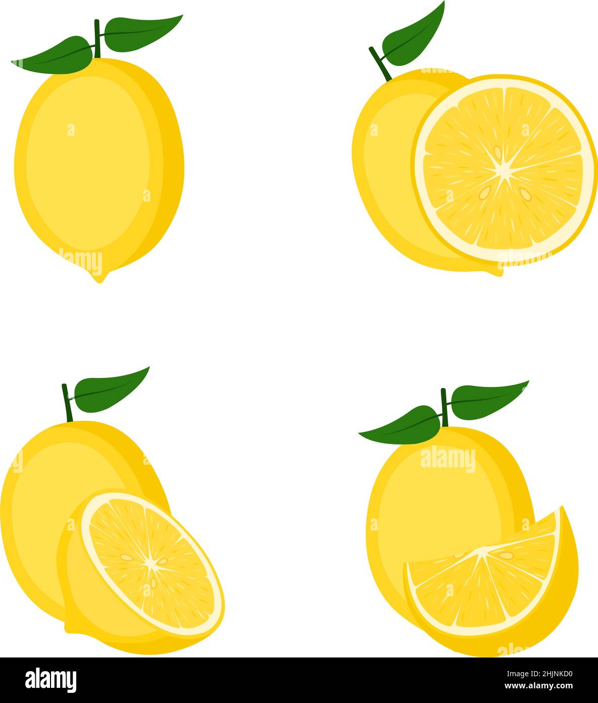 Lemon, whole fruit, half, slice, vector illustration Stock Vector