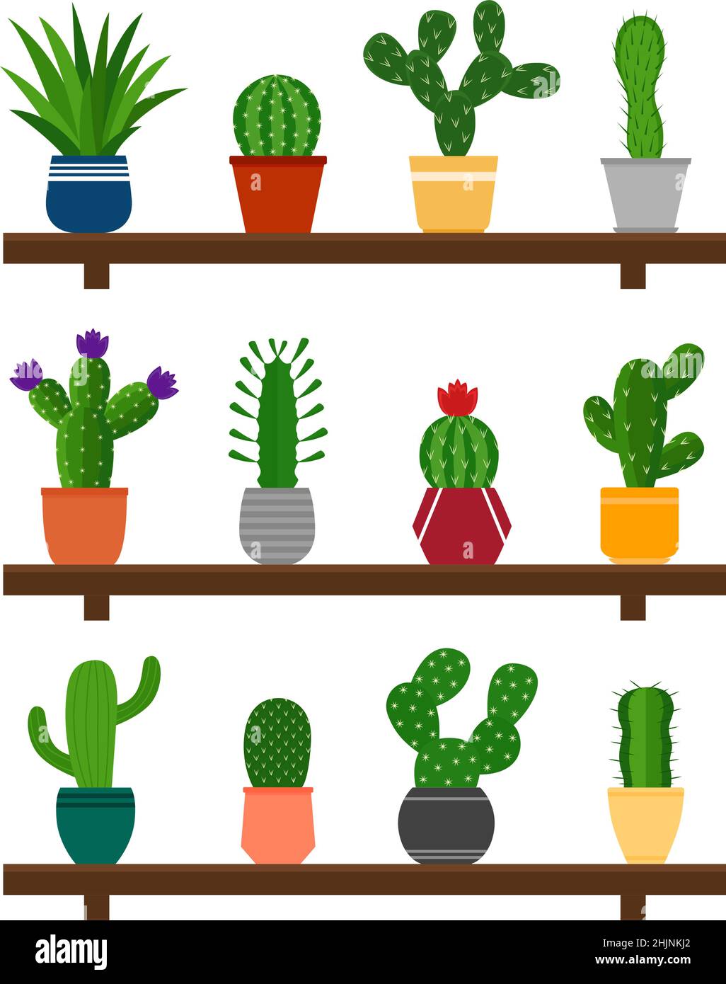 Collection of cactuses in pots on shelf, vector illustration Stock ...