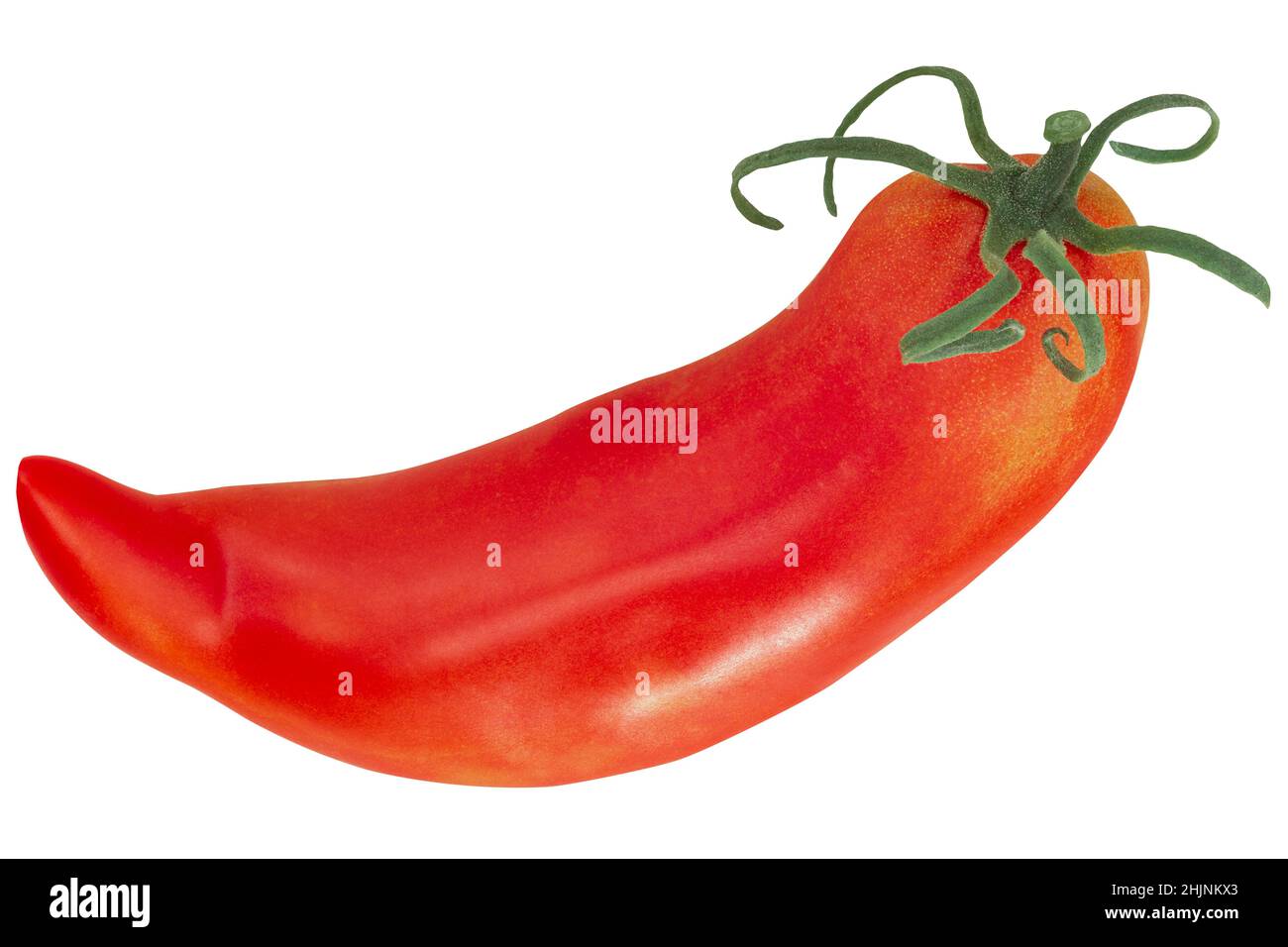 Jersey Devil heirloom pepperlike tomato (Solanum lycopersicum fruit) isolated Stock Photo