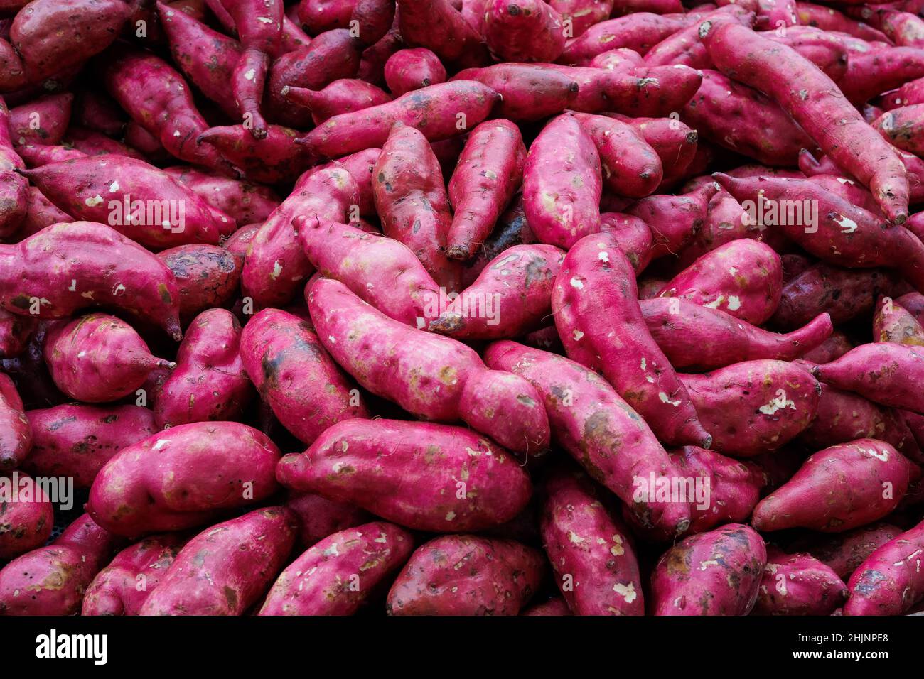Raw, organic red sweet potatoes, Ipomoea batatas, on a market stall in Ealing, West London Stock Photo
