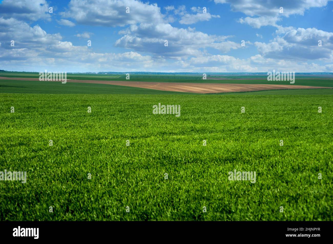 Green field winter hi-res stock photography and images - Alamy