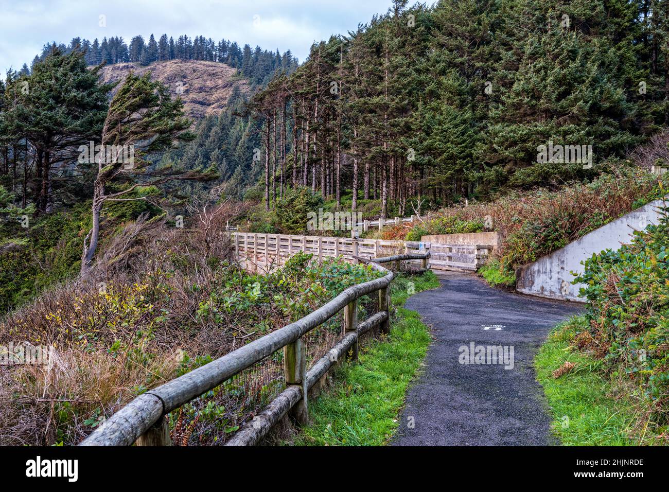 Wood fencing on the Captain Cook Trail at Cape Perpetua State Park, Oregon, USA Stock Photo