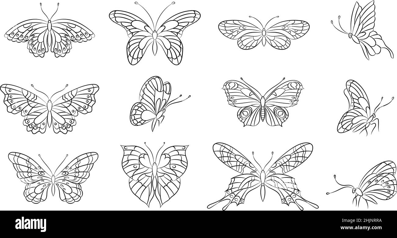 butterfly vector art stencil for tattoo or t shirt print symmetric butterfly ornament surreal ink hand draw monochrome illustration stock vector image art alamy