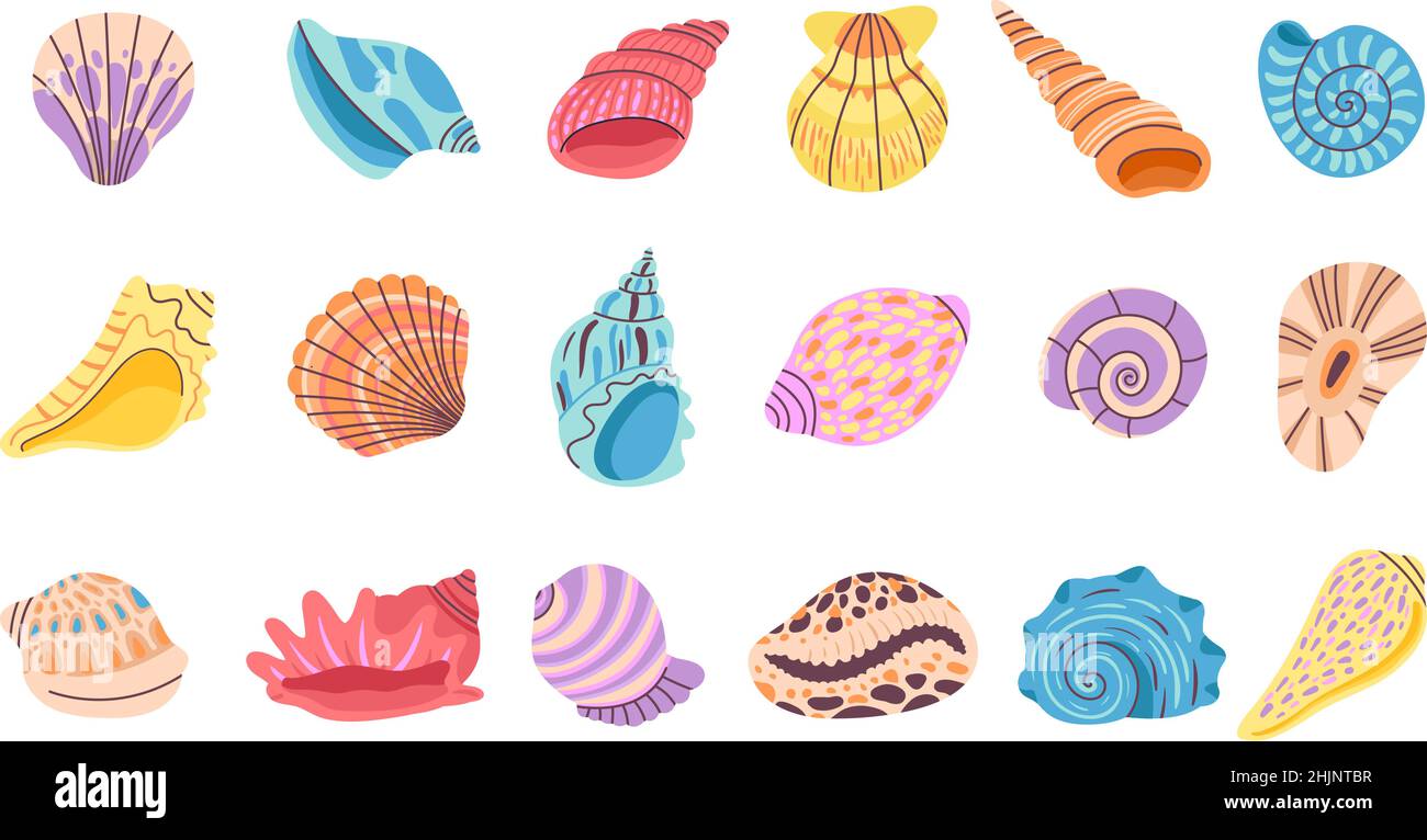 Seashell. Isolated seashells, oyster and clam. Decoration beach sea ocean elements. Cartoon summer marine objects, seasonal decent vector set Stock Vector