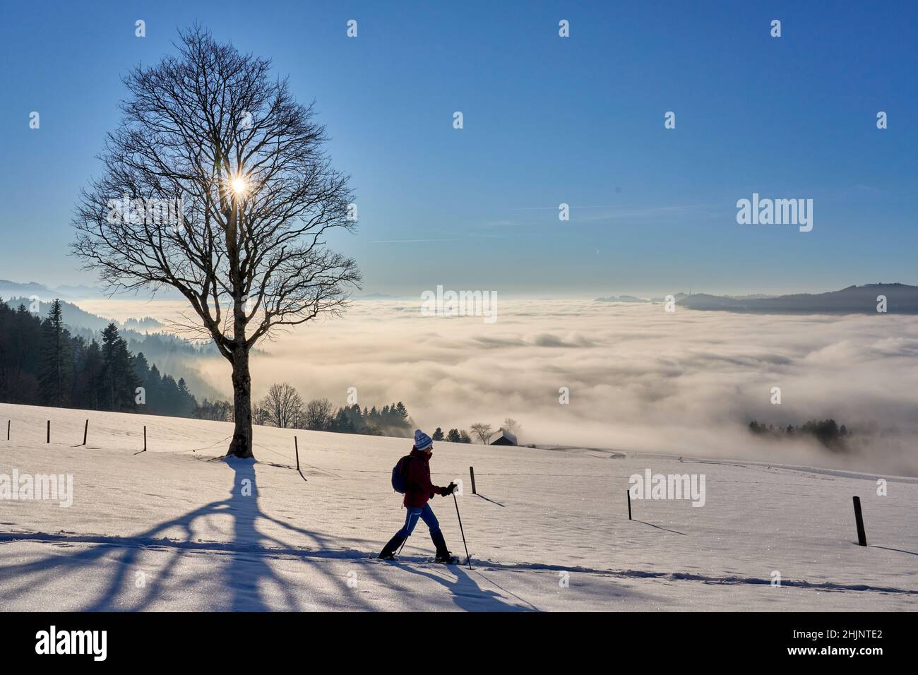 Bregenzer sea hi-res stock photography and images - Alamy