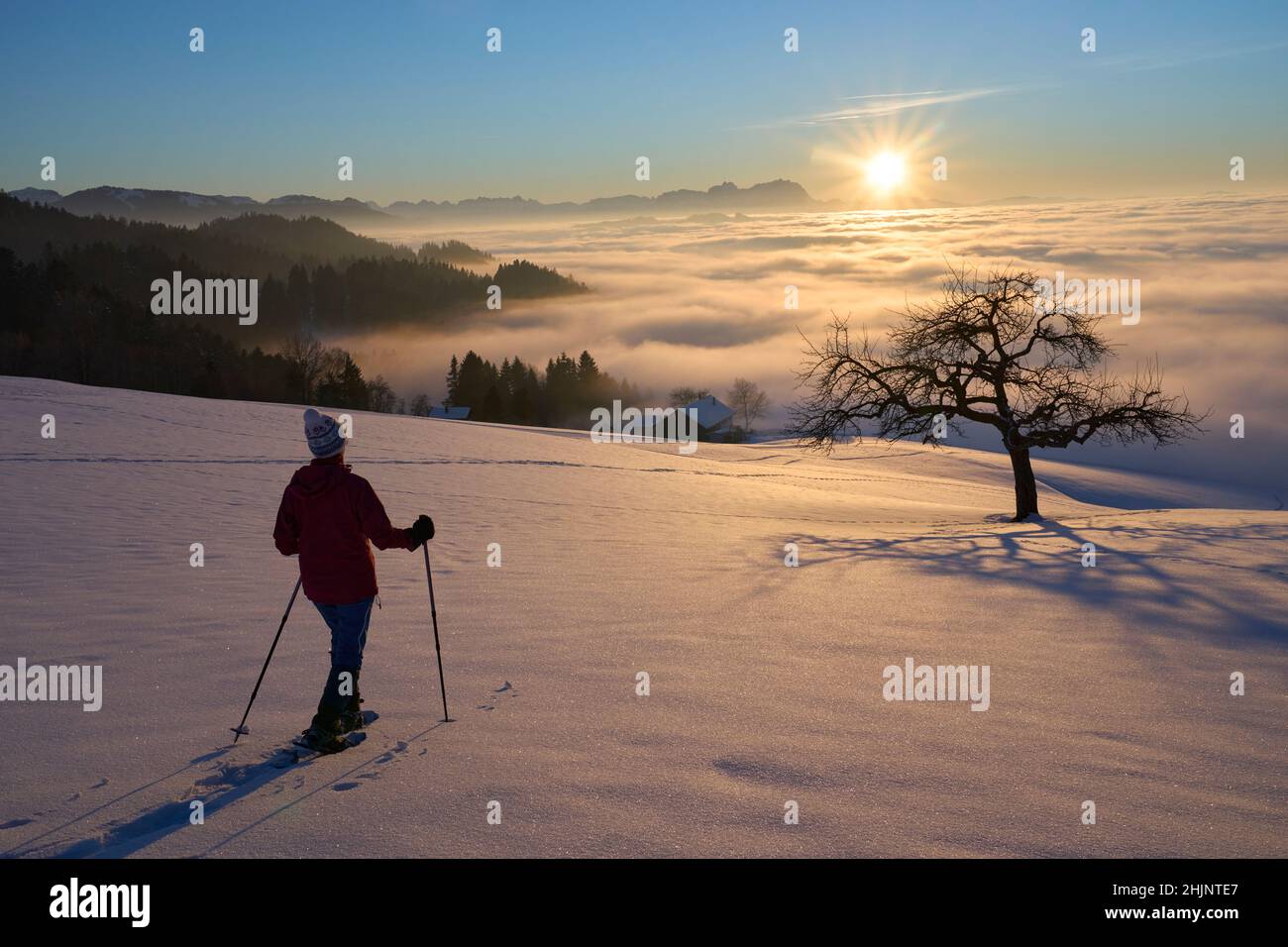 Bregenzer sea hi-res stock photography and images - Alamy