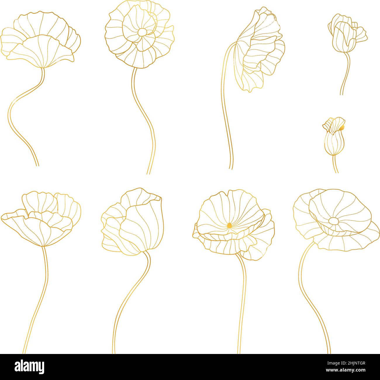 Golden line flowers set. Gold linear flower, garden exotic plants. Decorative floral elements, abstract outline botanical vector collection Stock Vector