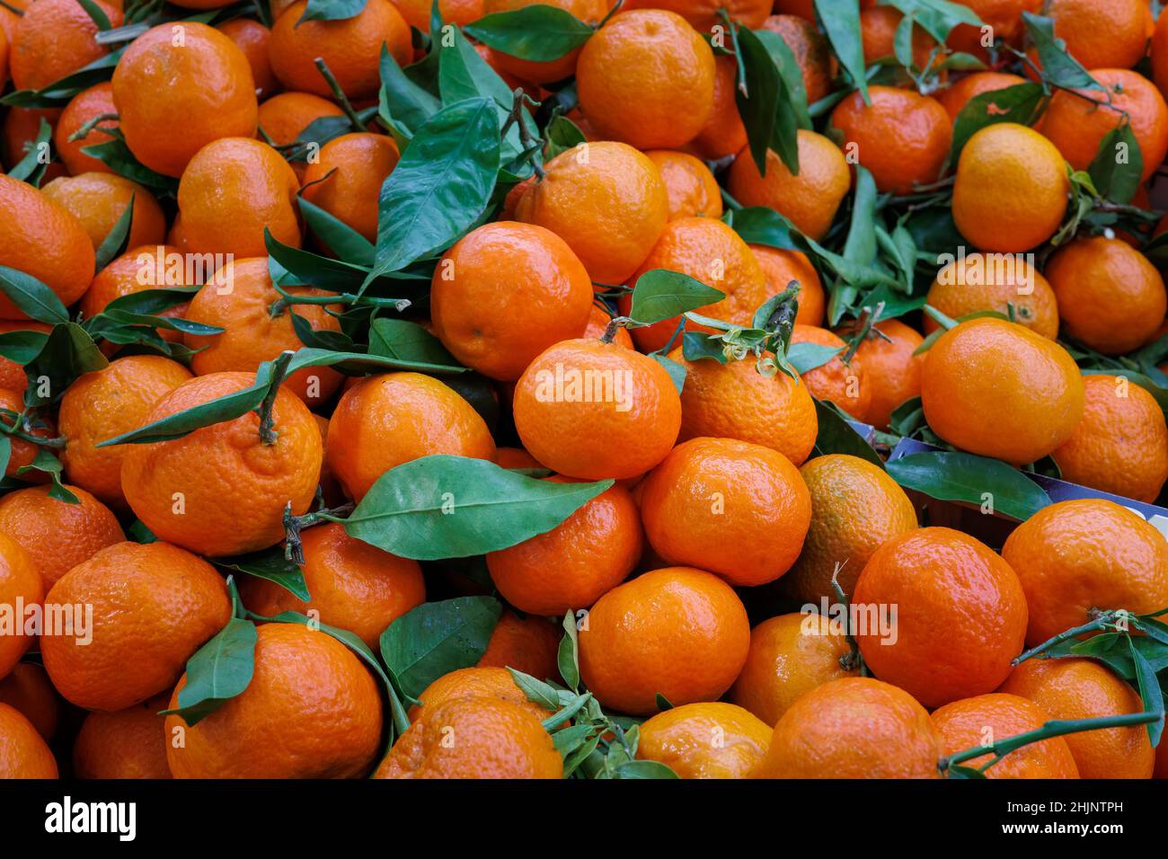 Piles of clementine fruit for sale on a market stall in Southall, Middlesex Stock Photo