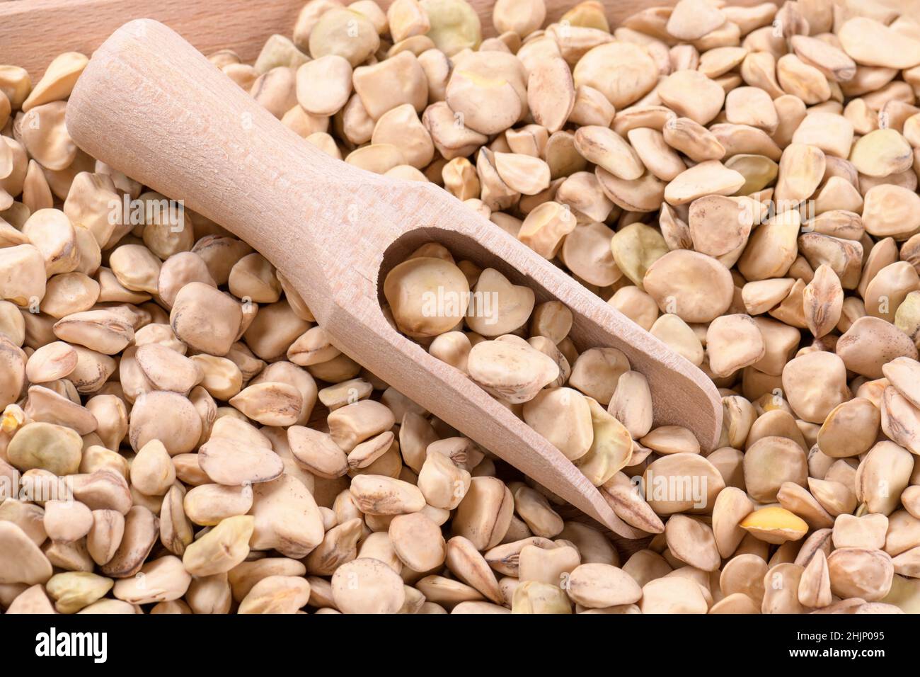 Dry Cicerchia or indian pea on a wooden scoop, close up, food gluten free. Legumes known as Lathyrus Sativus, Chickling Vetch, Blue Sweet Pea made in Stock Photo