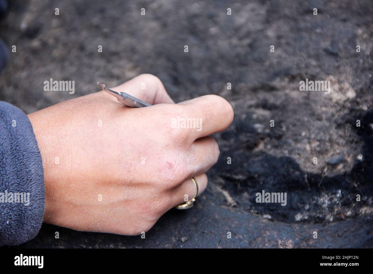 Archaeologist dig at the site hi-res stock photography and images - Alamy
